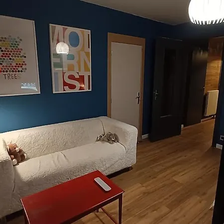 Piscine, Jardin, Fibre & Netflix Au Coeur D'alsace * Rorschwihr