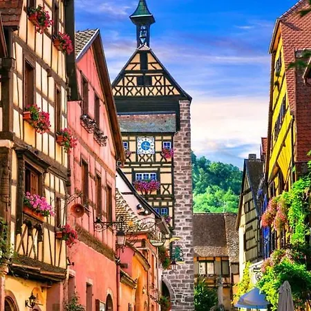 Piscine, Jardin, Fibre & Netflix Au Coeur D'alsace Διαμέρισμα *