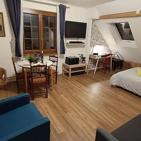 Διαμέρισμα Piscine, Jardin, Fibre & Netflix Au Coeur D'alsace Rorschwihr