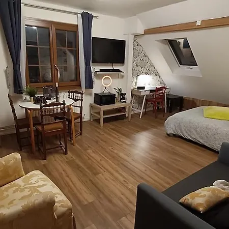Piscine, Jardin, Fibre & Netflix Au Coeur D'alsace Διαμέρισμα *