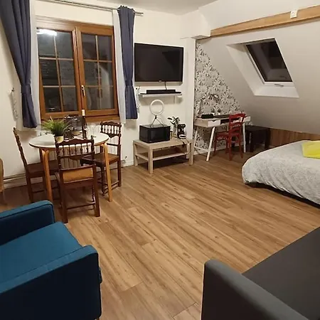 Piscine, Jardin, Fibre & Netflix Au Coeur D'alsace Rorschwihr
