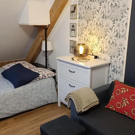 Piscine, Jardin, Fibre & Netflix Au Coeur D'alsace Διαμέρισμα