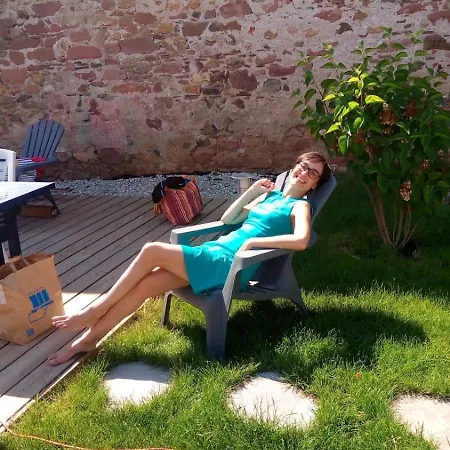 Διαμέρισμα Piscine, Jardin, Fibre & Netflix Au Coeur D'alsace *