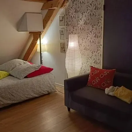 Piscine, Jardin, Fibre & Netflix Au Coeur D'alsace * Rorschwihr
