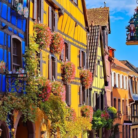 Piscine, Jardin, Fibre & Netflix Au Coeur D'alsace *