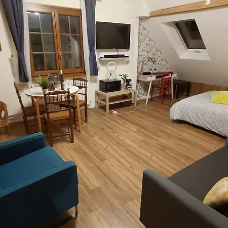 Piscine, Jardin, Fibre & Netflix Au Coeur D'alsace Διαμέρισμα Rorschwihr