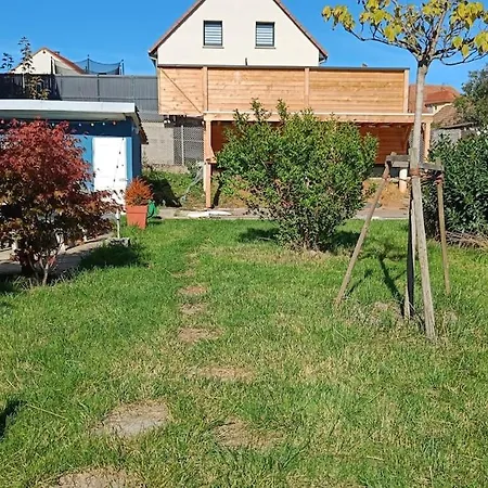 Piscine, Jardin, Fibre & Netflix Au Coeur D'alsace Rorschwihr